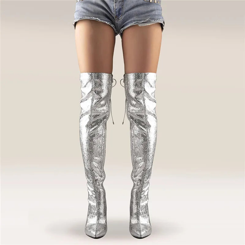 Pointed Toe Metallic Silver Over the Knee Boots Thin High Heel  Slim Heel