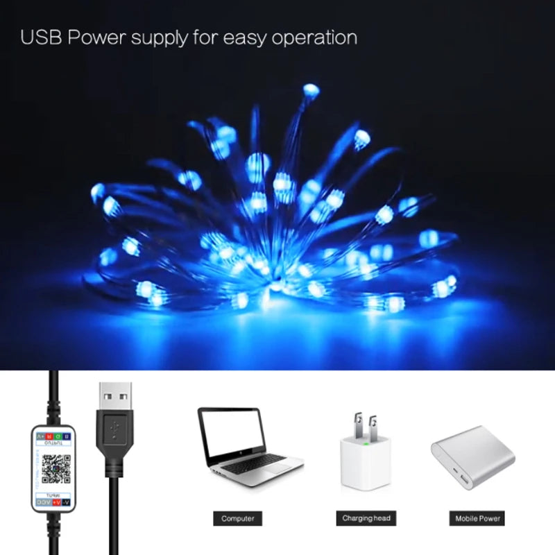 LED Fairy Christmas Light USB Powered Bluetooth Music Light